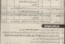Federal Service Tribunal FST Islamabad Jobs 2017 NTS Application Form, Test Date
