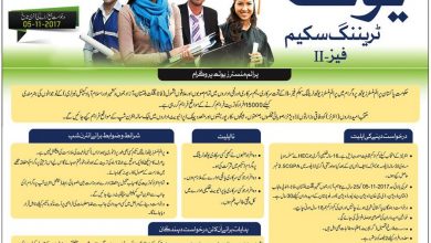 National Internship Program 2025 Online Apply Registration Form Nip Login