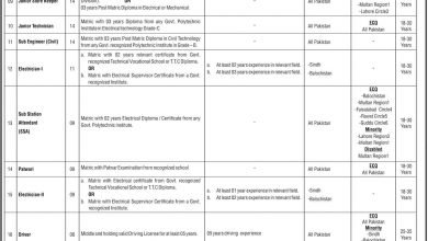National Transmission And Despatch Company Jobs 2017 NTS Form Download