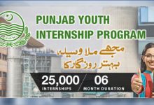 Punjab Youth Internship Program PYIP 2025