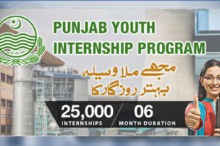 Punjab Youth Internship Program PYIP 2022