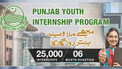 Punjab Youth Internship Program PYIP 2025 9 Punjab Youth Internship Program PYIP 2025