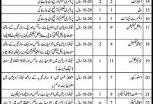 Sindh Govt Jobs In Health Department District Khairpur Mirs 2017 Form, Last Date