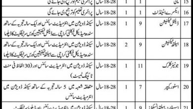 Sindh Govt Jobs In Health Department District Khairpur Mirs 2017 Form, Last Date