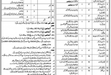 Walled City Of Lahore Authority WCLA Jobs 2017 NTS Application Form, Test Date