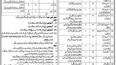 Walled City Of Lahore Authority WCLA Jobs 2017 NTS Application Form, Test Date