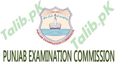 Grade 5 Result 2025 All Punjab District Wise