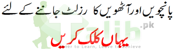 Grade 5 Result 2025 All Punjab District Wise 2 Grade 5 Result 2025 All Punjab District Wise