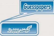 BA Urdu Guess Paper 2025 Punjab University