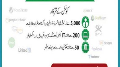 E-Rozgar Scheme Punjab 2017 NFC PITB Freelancing Training Centers