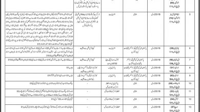 Immigration And Passport Jobs 2025 OTS Application Form, Eligibility, Test Date
