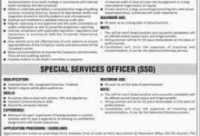 Pakistan International Airline Jobs 2025 PIA Jobs Application Form, Last Date