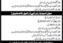 Punjab Police Dolphin Squad Phase 3 Jobs 2017 Driver Constable Form, Last Date