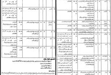Social Welfare And Bait-Ul-Maal Punjab Jobs 2025 Application Form Last Date