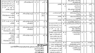 Social Welfare And Bait-Ul-Maal Punjab Jobs 2025 Application Form Last Date