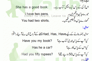 Use of Has, Have, Had In English Grammar In Urdu With Examples