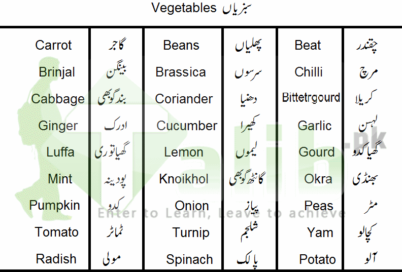 Vegetables Names In Urdu And English List