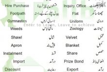 common english words used in daily life with urdu meaning