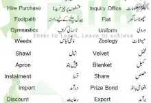 Common English Words Used In Daily Life With Urdu 4 common english words used in daily life with urdu meaning