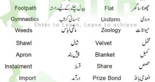 common english words used in daily life with urdu meaning