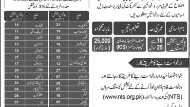 Punjab Police Computer Operator Jobs 2017 NTS Application Form, Test Date