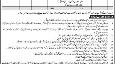 IESCO Jobs 2025 Application Form July Advertisement