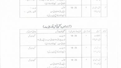 Ministry Of Kashmir Affairs And Gilgit Baltistan Jobs 2017 PTS Form, Last & Test Date