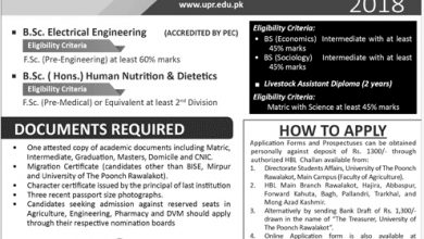 University Of Poonch Rawalakot UPR Admissions 2025-2019 Online Form, Last Date