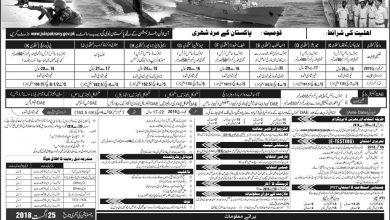 Join Pakistan Navy As Sailor 2025 D Batch S Online Registration Apply Last Date