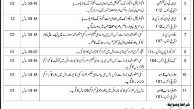 Peshawar High Court Peshawar Jobs 2017 NTS Application Form, Test & Last Date