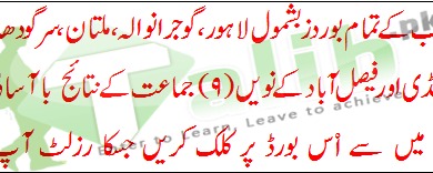 9th Class Result 2025 Punjab Board