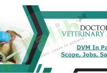 Doctor Of Veterinary Medicine DVM In Pakistan 2 Doctor Of Veterinary Medicine DVM In Pakistan