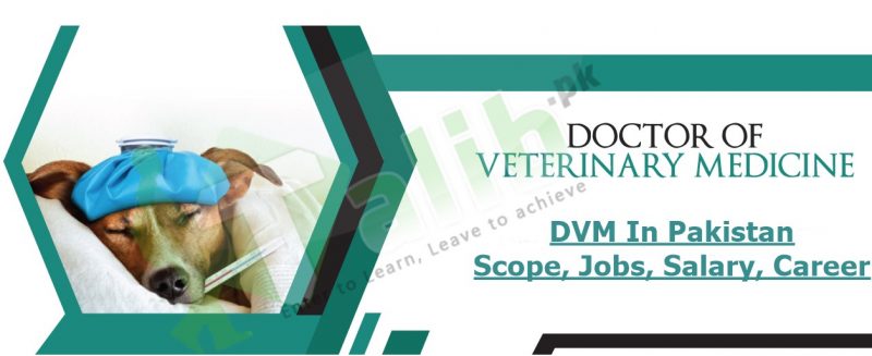 doctor-of-veterinary-medicine-dvm-in-pakistan-scope-jobs-salary