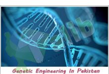 Genetic Engineering In Pakistan Scope, Subjects, Career, Jobs, Salary