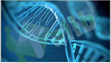 Genetic Engineering In Pakistan Scope, Subjects, Career, Jobs, Salary