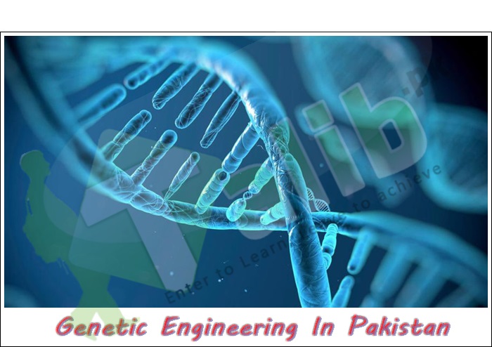 Genetic Engineering In Pakistan Scope, Subjects, Career, Jobs, Salary