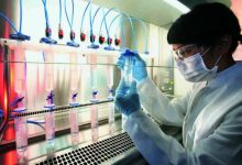 Universities Offering Biotechnology In Pakistan Colleges