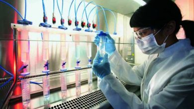 Universities Offering Biotechnology In Pakistan Colleges 20 Universities Offering Biotechnology In Pakistan Colleges