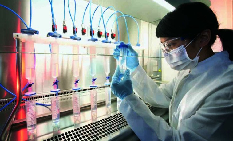 Universities Offering Biotechnology In Pakistan Colleges