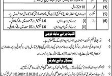 Punjab Police Constable, Lady Constable Jobs 2025 Application Form, Last Date