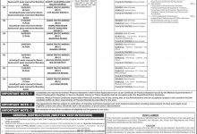 Punjab Police Junior Traffic Warden Jobs 2025 PPSC Application Form