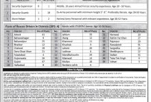 Punjab Rescue 1122 Jobs 2025 NTS Application Form Last Date