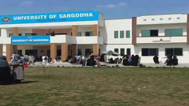 Sargodha University BA BSc Supplementary Date Sheet 2026