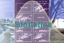BS Statistics Scope In Pakistan, Subjects, Jobs, Salary, Offering Universities