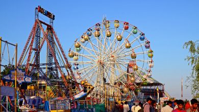 Festivals are a Source of Economy Essay