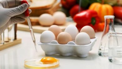 Food Science And Technology Scope, Salary, Jobs in Pakistan