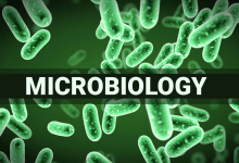Microbiology Scope In Pakistan Jobs, Salary, Subjects, Universities