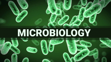 Microbiology Scope In Pakistan Jobs, Salary, Subjects, Universities