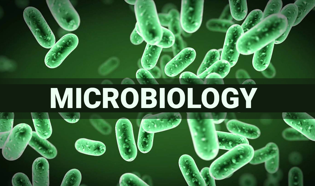 Microbiology Scope In Pakistan Jobs, Salary, Subjects, Universities