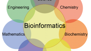 Bioinformatics Scope In Pakistan Jobs, Salary, Subjects, Universities